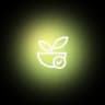 Natural Icon